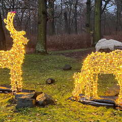 24-12-06 15-58-22 1671